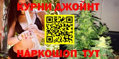 гидропоника Кингисепп