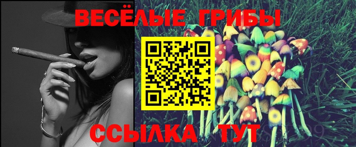 Галлюциногенные грибы Psilocybe  Вход с VPN  Галлюциногенные грибы GOLDEN TEACHER  Углич 