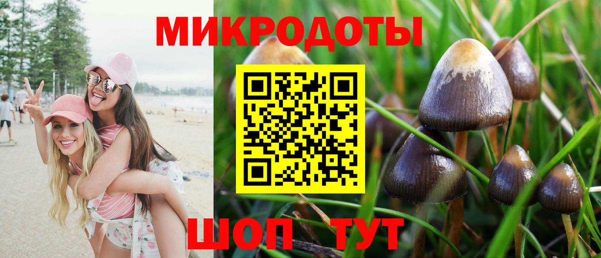 Псилоцибиновые грибы Cubensis Углич